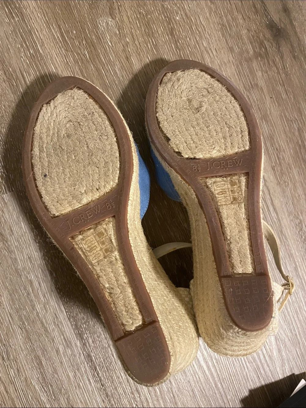 J. Crew Light Blue Espadrille Wedge Sandals with Ankle Strap